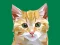 Spel Idle Painter aanlyn