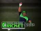 Spel Cricket Fielder Challenge aanlyn