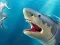 Spel Shark Hunting aanlyn