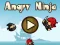 Spel Angry Ninja aanlyn