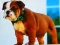 Spel Bulldog Puppy Puzzle aanlyn