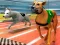 Spel Dogs 3D Races aanlyn