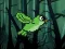 Spel Flappy Zombird aanlyn