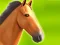 Spel Horse Run 3D aanlyn