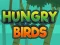 Spel Hungry Birds aanlyn
