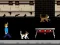 Spel Streamer Fashion Run aanlyn