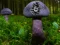 Spel Mushroom Forest Adventure aanlyn