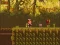 Spel The Lost Forest aanlyn