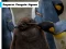 Spel Emperor Penguin Jigsaw aanlyn
