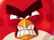 Spel Angry Birds vs Pigs aanlyn