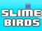 Spel Slime Birds aanlyn
