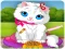 Spel Vet Cat Clinic aanlyn