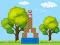 Spel Box Challenge aanlyn