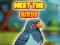 Spel Meet The Birds aanlyn