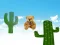 Spel Fall cactus Season 1 teddy aanlyn
