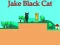 Spel Jake Black Cat aanlyn