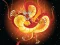 Spel Chinese Dragons Coloring aanlyn