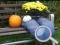 Spel Autumn Garden Find 100 butterflies aanlyn