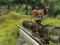 Spel Stag Hunt aanlyn