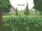 Spel Precision aanlyn