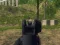 Spel Army Shooter aanlyn