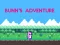Spel Bunn's Adventure aanlyn