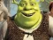 Spel Shrek Jigsaw Puzzle Collection aanlyn