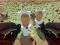 Spel Shooting Survival Skibidi Toilet aanlyn