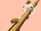 Spel Spiral Rush aanlyn