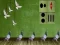 Spel Pigeon Escape 2 aanlyn