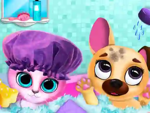 Spel Cute Pet Friends aanlyn
