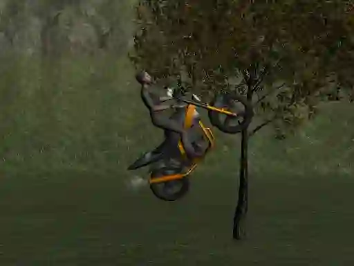 Spel Mountain Bike Rider aanlyn