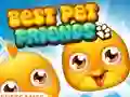 Spel Best Pet Friends aanlyn