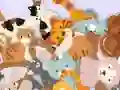 Spel Find The Kitty aanlyn