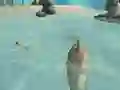 Spel Shark Simulator Beach Killer aanlyn