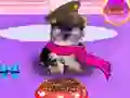 Spel Wash Pets Princess Kids aanlyn