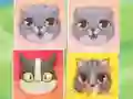 Spel Kitten Match aanlyn