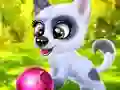 Spel Happy Dog aanlyn