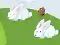Spel Crazy Eggs aanlyn