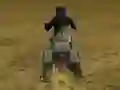Spel Real Moto Stunts Challenge aanlyn
