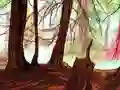 Spel Hidden Stars aanlyn