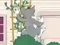 Spel Tom und Jerry: Wasserbomben Wahnsinn aanlyn
