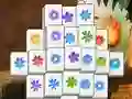 Spel Spring Flower aanlyn
