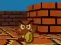 Spel Mario FPS aanlyn