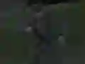 Spel Soviet Sniper aanlyn