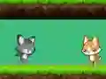 Spel Cat vs Dog aanlyn