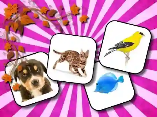 Spel Animals Memory aanlyn
