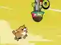 Spel Flappy pets aanlyn