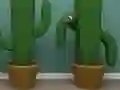 Spel Cactus Cube aanlyn