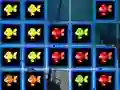 Spel 1010 Fish Blocks aanlyn